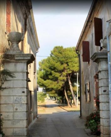 Apartman Val 1 Novigrad Istria Dış mekan fotoğraf